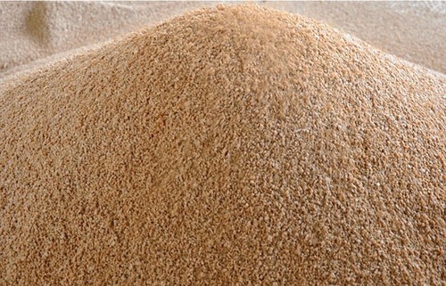 Nocciolino sansa vergine - nocciolino,